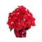 19" Artificial Poinsettia Arrangement in Red Wrapped Planter